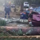 Rescue workers clear fallen trees at the campsite