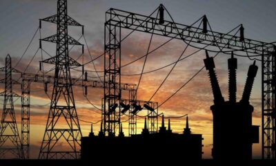 Electricity-Distribution-System-Services