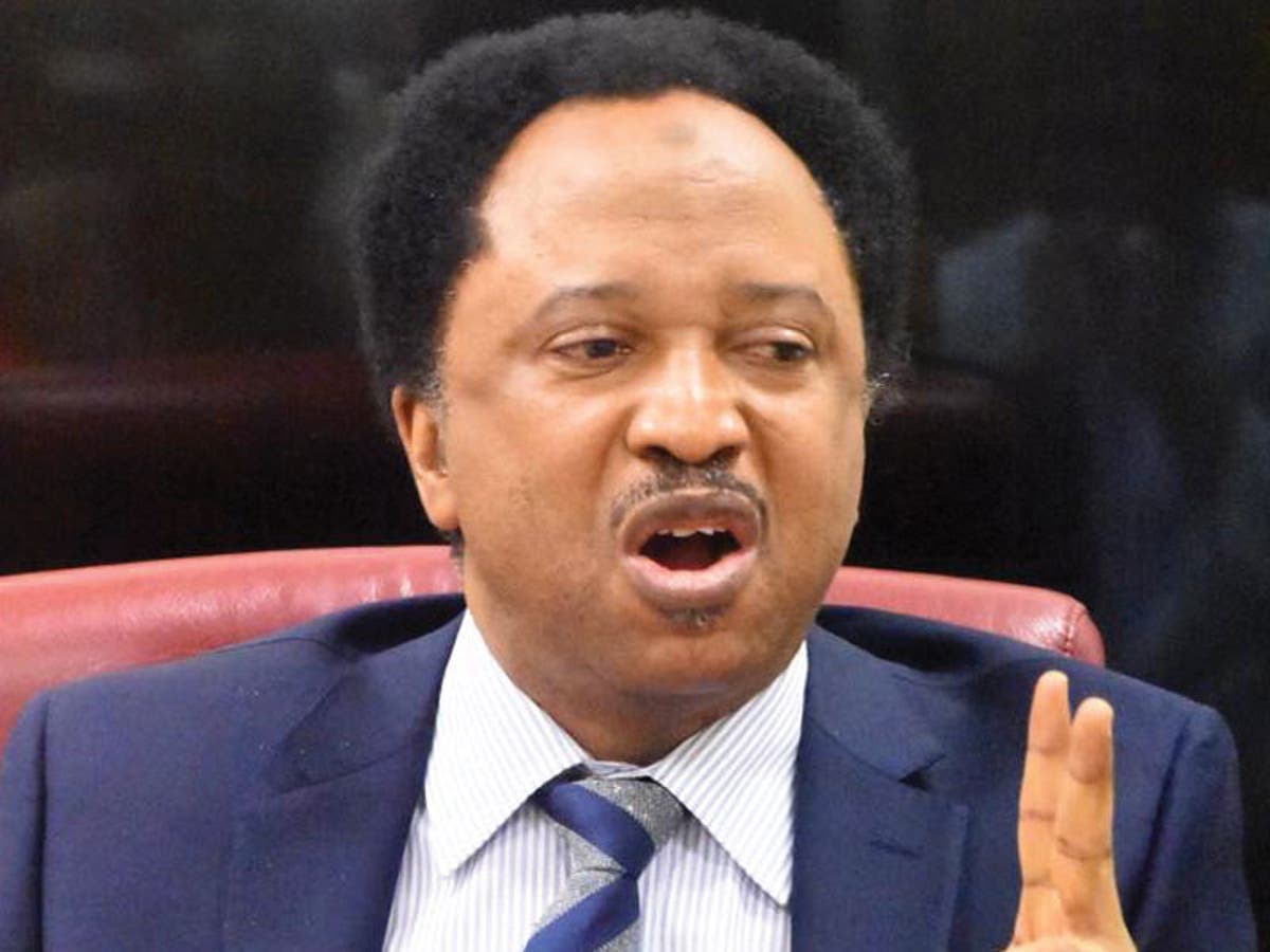 Pure act of racism – Shehu Sani reacts to Napoli’s treatment of Osimhen