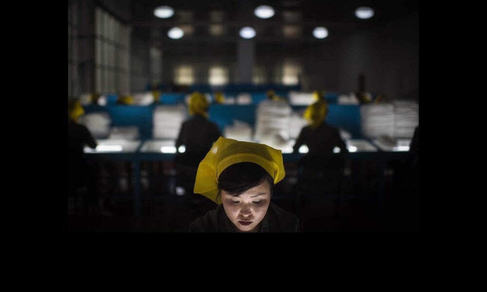 A worker at a factory in Pyongyang, North Korea