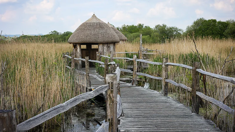 Daniel Stables Westhay Moor is one of Britain's top bird-watching locations (Credit: Daniel Stables)